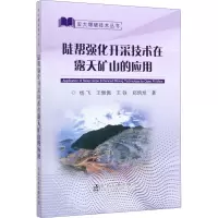 陡帮强化开采技术在露天矿山的应用 杨飞 等 著 专业科技 文轩网