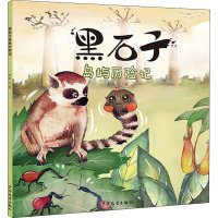 黑石子岛屿历险记 彭彭 著 少儿 文轩网