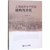 上海城市中产阶层:结构与分化 王甫勤 著 社科 文轩网