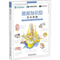 能源知识绘 各尽所能 中国电机工程学会,浙江省电力学会 编 文教 文轩网