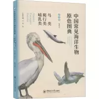 中国常见海洋生物原色图典 鸟类 爬行类 哺乳类 魏建功,刘云 编 少儿 文轩网