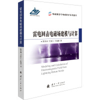 雷电回击电磁场建模与计算 陈亚洲,万浩江,王晓嘉 著 专业科技 文轩网