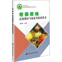 柑 橘 橙 柚高效栽培与病虫害防治技术 罗国求 编 专业科技 文轩网