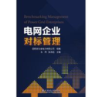 电网企业对标管理 国网湖北省电力有限公司,朱伟,张承彪 著 专业科技 文轩网