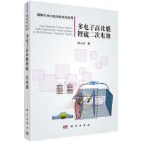 多电子高比能锂硫二次电池/储能与动力电池技术及应用 陈人杰 著 专业科技 文轩网