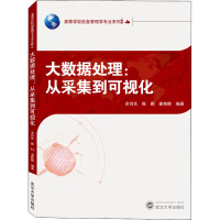 大数据处理:从采集到可视化 余肖生,陈鹏,姜艳静 编 大中专 文轩网