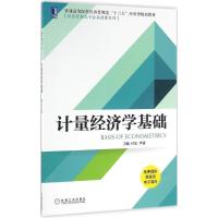 计量经济学基础 付宏,尹康 主编 著作 大中专 文轩网