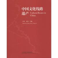 中国文化线路遗产 丁援,宋奕 主编 著 经管、励志 文轩网