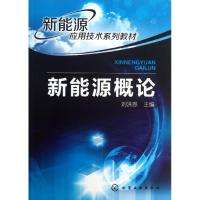 新能源概论 刘洪恩 编 著 大中专 文轩网