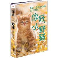 你好,小野猫 (美)安德鲁·布卢姆菲尔德 著 易经 译 文学 文轩网