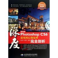 中文版Photoshop CS6效果图后期处理完全剖析 孙启善,胡爱玉 著作 专业科技 文轩网