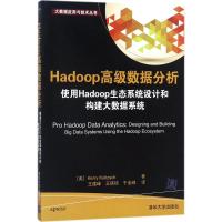 Hadoop高级数据分析 使用Hadoop生态系统设计和构建大数据系统 