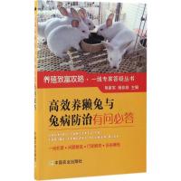 高效养獭兔与兔病防治有问必答 熊家军,杨菲菲 主编 专业科技 文轩网