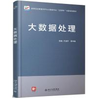 大数据处理/王道平,蒋中杨 王道平,蒋中杨 著 大中专 文轩网