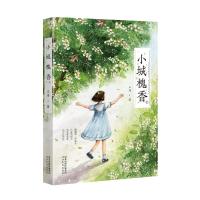 小城槐香 王琦 著 少儿 文轩网