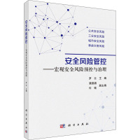 安全风险管控——宏观安全风险预控与治理 罗云,裴晶晶,许铭 著 经管、励志 文轩网