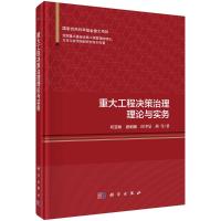 重大工程决策治理理论与实务(精)/我国重大基础设施工程管理的理论方法与应用创新研究系列专著