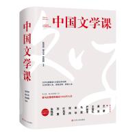 中国文学课(上下册) 陈思和.郜元宝.张新颖等 著 陈曦华 译 文学 文轩网