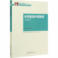 世界能源中国展望(2020) 王永中 等 著 经管、励志 文轩网