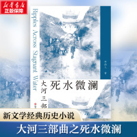 死水微澜 李劼人 著 文学 文轩网