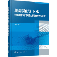 地震和地下水协同作用下边坡稳定性评价 黄帅 著 专业科技 文轩网