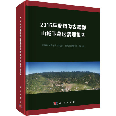 2015年度洞沟古墓群山城下墓区清理报告 吉林省文物考古研究所,集安市博物馆 编 社科 文轩网