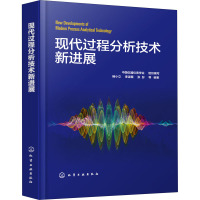 现代过程分析技术新进展 中国仪器仪表学会,褚小立 等 编 专业科技 文轩网