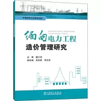 缅甸电力工程造价管理研究 董士波 编 专业科技 文轩网