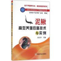 泥鳅高效养殖致富技术与实例 凌去非 主编 专业科技 文轩网