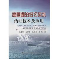 高原湖泊低污染水治理技术及应用 杨逢乐 著 大中专 文轩网