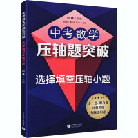 中考数学压轴题突破 选择填空压轴小题 彭林 编 文教 文轩网