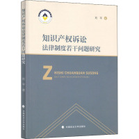 知识产权诉讼法律制度若干问题研究 刘平 著 社科 文轩网