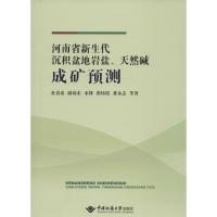 河南省新生代沉积盆地岩盐、天然碱成矿预测 杜春彦 等 著 著作 专业科技 文轩网