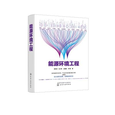 能源环境工程 廖传华、王小军、王银峰、李聃 著 著 专业科技 文轩网