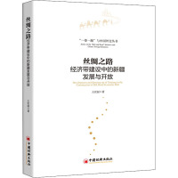 丝绸之路经济带建设中的新疆发展与开放 王宏丽 著 经管、励志 文轩网