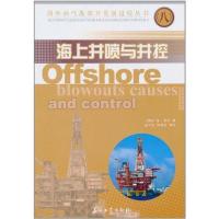 海上井喷与井控 波?荷兰 专业科技 文轩网