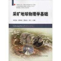 采矿地球物理学基础 牟宗龙  窦林名  曹安业  何江 著 牟宗龙 等 编 大中专 文轩网