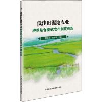 低洼田湿地农业种养结合模式农作制度创新 程旺大,倪龙凤 著 程旺大,倪龙凤 编 专业科技 文轩网