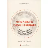 乡村振兴战略下的产业发展与机制创新研究 袁建伟 等 著 经管、励志 文轩网