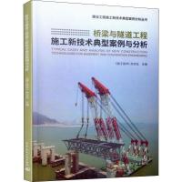 桥梁与隧道工程施工新技术典型案例与分析 《施工技术》杂志社 编 专业科技 文轩网