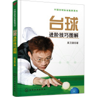 台球进阶技巧图解 庞卫国 著 文教 文轩网