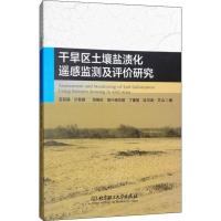 干旱区土壤盐渍化遥感监测及评价研究 买买提·沙吾提 等 著 专业科技 文轩网