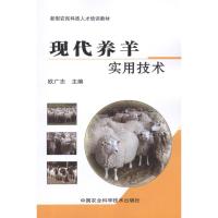 现代养羊实用技术 欧广志 编 著作 专业科技 文轩网