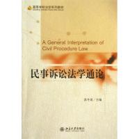 民事诉讼法学通论 洪冬英 编 大中专 文轩网