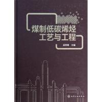 煤制低碳烯烃工艺与工程 无 著 专业科技 文轩网