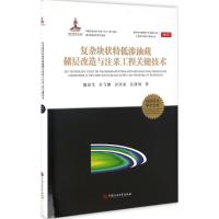 复杂块状特低渗油藏储层改造与注采工程关键技术 蒲春生 等 著 专业科技 文轩网