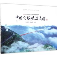 中国公路峡谷大桥 黄镇东,李彦武 主编 专业科技 文轩网