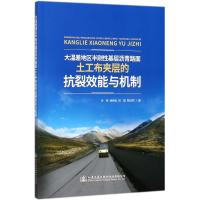 大温差地区半刚性基层沥青路面土工布夹层的抗裂效能与机制 付伟 等 著 专业科技 文轩网