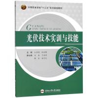 光伏技术实训与技能 编者:江杰明//孙化锋 著 江杰明,孙化锋 编 大中专 文轩网