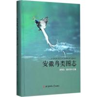 安徽鸟类图志 吴海龙,顾长明 主编 著 文教 文轩网